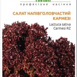 Семена салата «Кармези», ТМ Rijk Zwaan - 15 семян