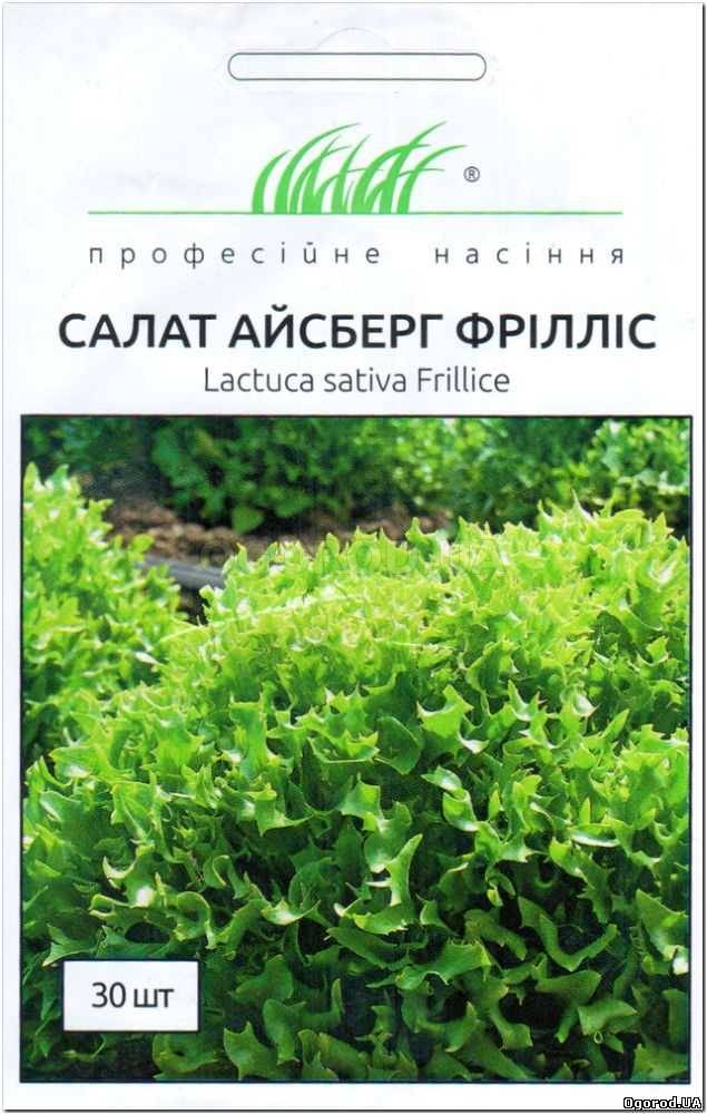 Салат фриллис семена. Фриллис семена. Сорт салата Фриллис. Салат Фриллис хрустящий семена.