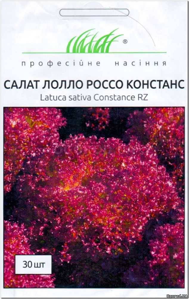 Кликните для увеличения изображения Семена салата «Констанс», ТМ Rijk Zwaan - 30 семян