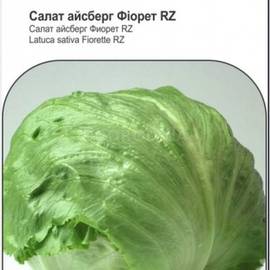 Семена салата «Фиорет», ТМ Rijk Zwaan - 30 семян