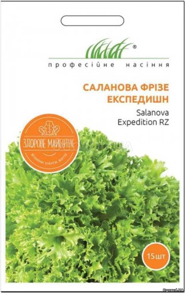 Кликните для увеличения изображения Семена салата «Экспедишн», ТМ Rijk Zwaan - 15 семян