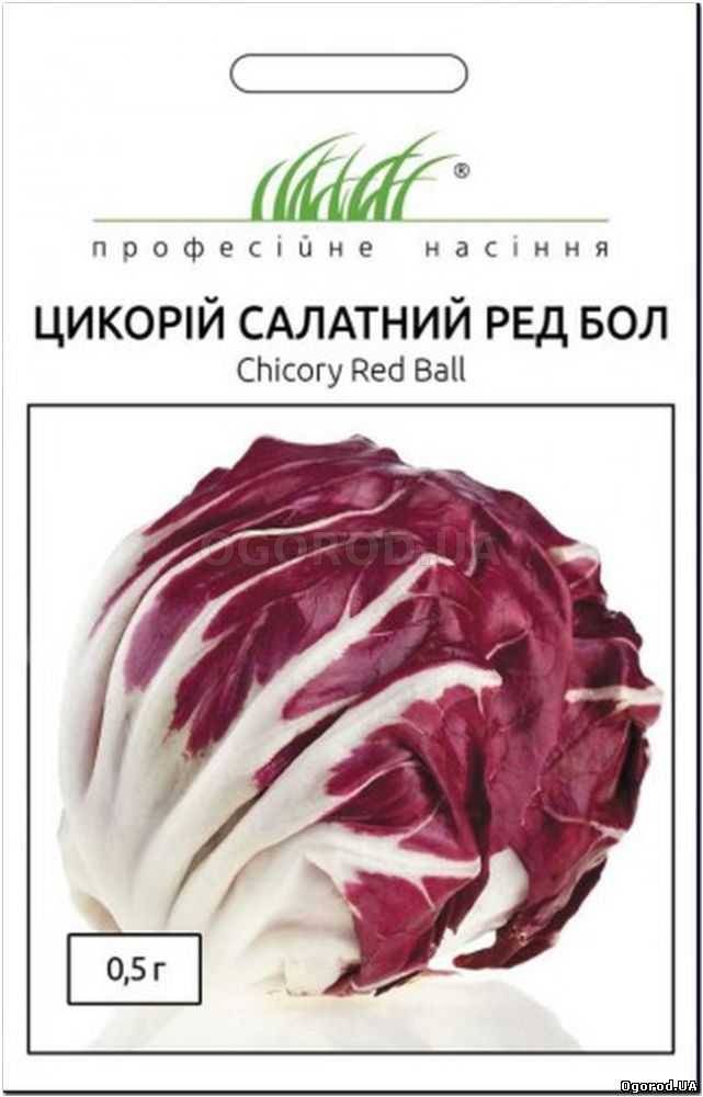 Кликните для увеличения изображения Семена цикория салатного «Ред Бол», ТМ Anseme - 0,5 грамм