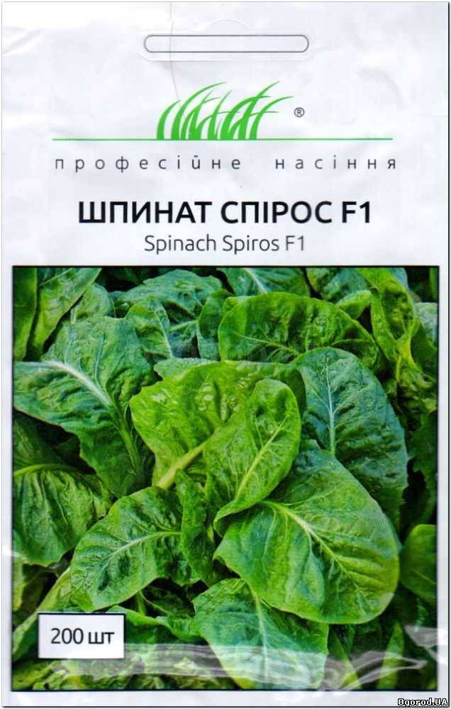 Кликните для увеличения изображения Семена шпината «Спирос» F1, Bejo Zaden - 200 семян