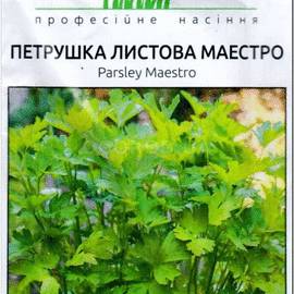 Семена петрушки «Маэстро», ТМ Ansemе - 1 грамм