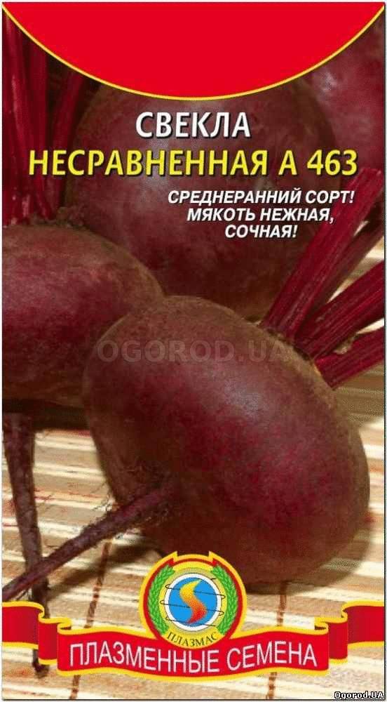 Свекла Славянка Описание Сорта Фото