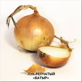 Семена лука «Батыр» (репчатый), ТМ OGOROD - 100 грамм