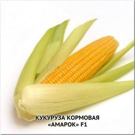 Семена кукурузы «Амарок» F1 (кормовая), ТМ «МНАГОР» - 1000 грамм
