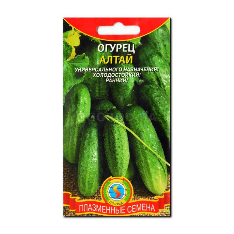 Огурец алтай евро семена. Семена огурцов алтай. Огурец тополек f1/сем алт. Огурец алтай семена алтая. Семена огурцов алтай.