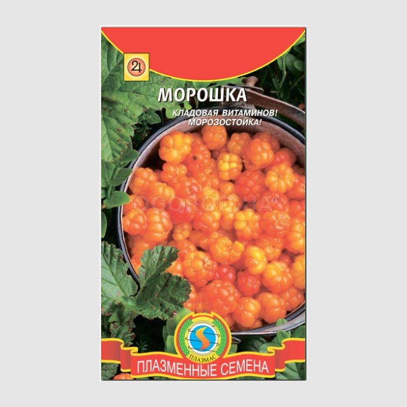 Кликните для увеличения изображения Семена морошки (Rubus chamaemorus L.), ТМ «ПЛАЗМЕННЫЕ СЕМЕНА» - 8 семян