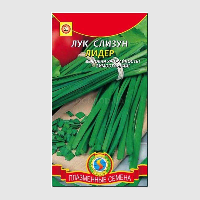 Кликните для увеличения изображения Семена лука «Лидер» (слизун), ТМ «ПЛАЗМЕННЫЕ СЕМЕНА» - 0,5 грамм