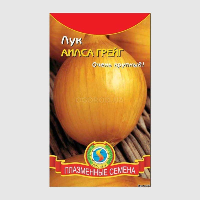 Кликните для увеличения изображения Семена лука «Аилса Грейг», ТМ «ПЛАЗМЕННЫЕ СЕМЕНА» - 0,3 грамма