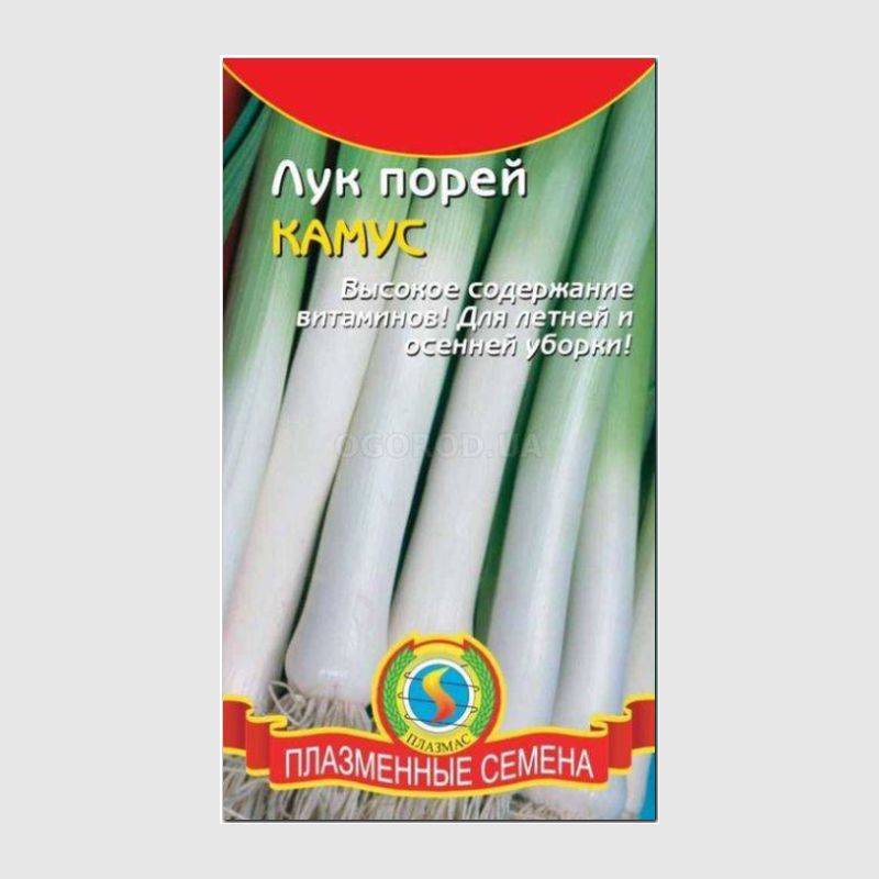 Кликните для увеличения изображения Семена лука «Камус» (порей), ТМ «ПЛАЗМЕННЫЕ СЕМЕНА» - 0,4 грамма