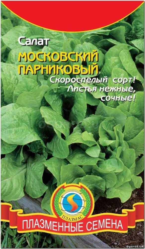 Кликните для увеличения изображения Семена салата «Московский Парниковый», ТМ «ПЛАЗМЕННЫЕ СЕМЕНА» - 0,9 грамм