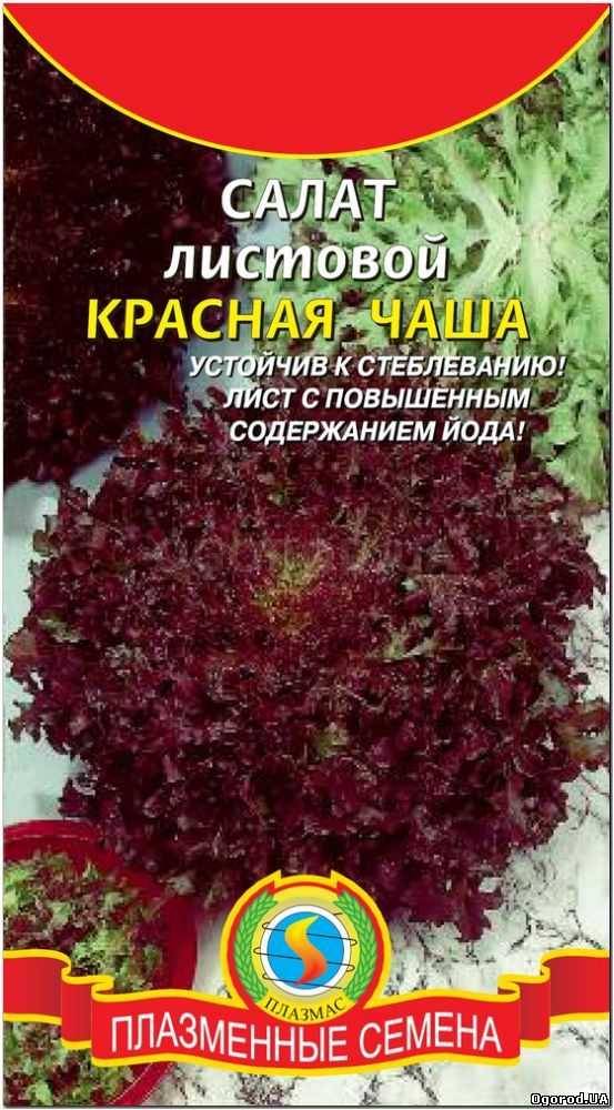 Кликните для увеличения изображения Семена салата «Красная чаша», ТМ «ПЛАЗМЕННЫЕ СЕМЕНА» - 0,5 грамм
