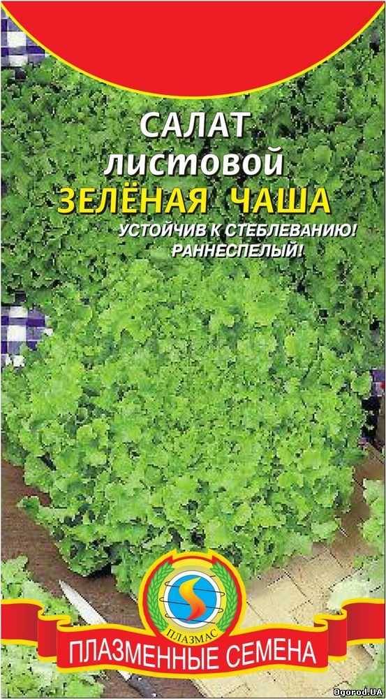 Кликните для увеличения изображения Семена салата «Зелёная чаша», ТМ «ПЛАЗМЕННЫЕ СЕМЕНА» - 1 грамм