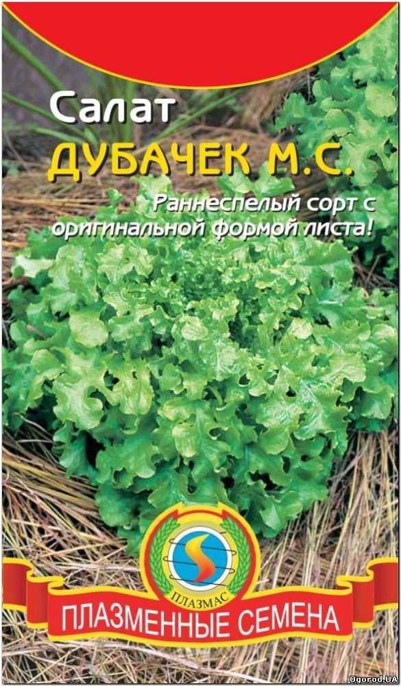 Кликните для увеличения изображения Семена салата «Дубачек М.С.», ТМ «ПЛАЗМЕННЫЕ СЕМЕНА» - 0,45 грамм