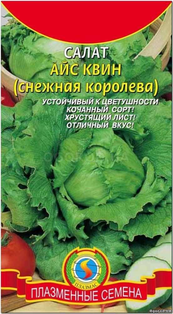 Кликните для увеличения изображения Семена салата «Айс Квин» (Снежная королева), ТМ «ПЛАЗМЕННЫЕ СЕМЕНА» - 0,5 грамм