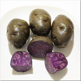 Клубни картофеля «Purple Majesty», ТМ OGOROD - 10 клубней