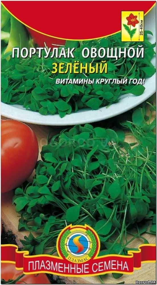Кликните для увеличения изображения Семена портулака овощного «Зеленый», ТМ «ПЛАЗМЕННЫЕ СЕМЕНА» - 0,1 грамм