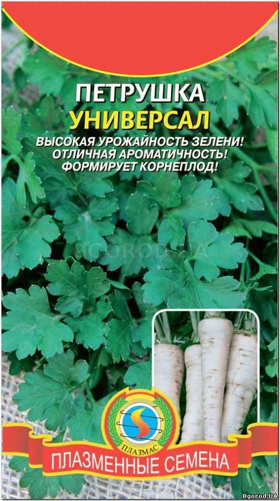 Кликните для увеличения изображения Семена петрушки «Универсал», ТМ «ПЛАЗМЕННЫЕ СЕМЕНА» - 2 грамма