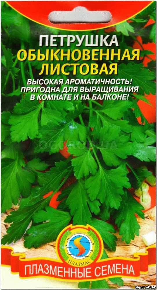 Кликните для увеличения изображения Семена петрушки «Обыкновенная», ТМ «ПЛАЗМЕННЫЕ СЕМЕНА» - 2 грамма