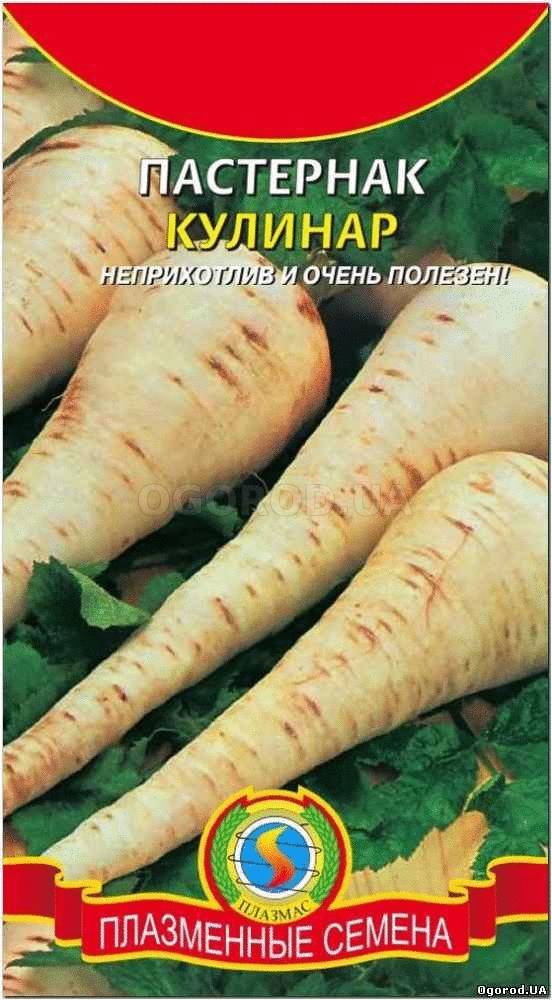 Кликните для увеличения изображения Семена пастернака «Кулинар», ТМ «ПЛАЗМЕННЫЕ СЕМЕНА» - 0,5 грамм