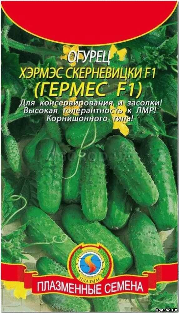 Кликните для увеличения изображения Семена огурца «Хэрмэс Скерневицки» F1 (Гермес F1), ТМ «ПЛАЗМЕННЫЕ СЕМЕНА» - 12 семян