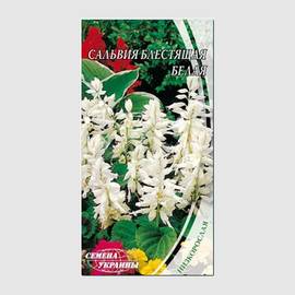 Семена сальвии блестящей «Белая», ТМ «СЕМЕНА УКРАИНЫ» - 0,2 грамма
