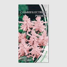 Семена сальвии блестящей «Розовая», ТМ «СЕМЕНА УКРАИНЫ» - 0,2 грамма