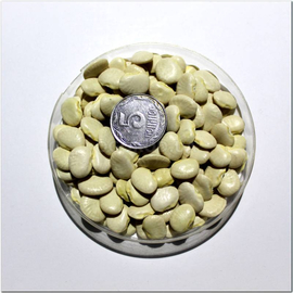 Семена фасоли лимской «Пуговка», ТМ OGOROD - 100 грамм