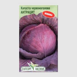 Семена капусты краснокочанной «Антрацит», ТМ «Елітсортнасіння» - 0,5 грамм