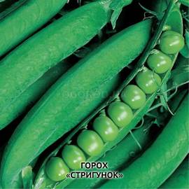 Семена гороха «Стригунок», ТМ OGOROD - 100 грамм