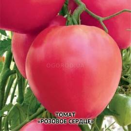 Семена томата «Розовое сердце», ТМ OGOROD - 200 семян