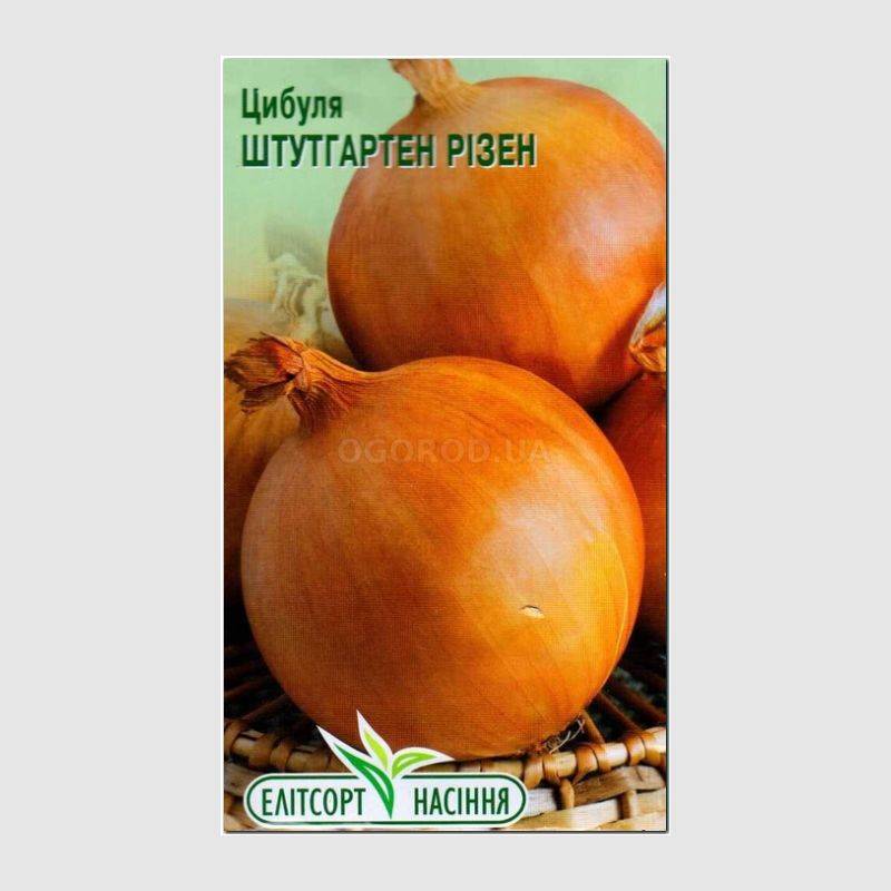 Кликните для увеличения изображения Семена лука «Штутгартен Ризен» (репчатый), ТМ «Елітсортнасіння» - 2 грамма