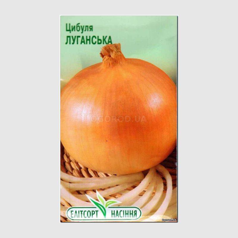 Кликните для увеличения изображения Семена лука «Луганский» (репчатый), ТМ «Елітсортнасіння» - 2 грамма