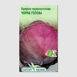 УЦЕНКА - Семена капусты краснокочанной «Черная голова», ТМ «Елітсортнасіння» - 0,5 грамм