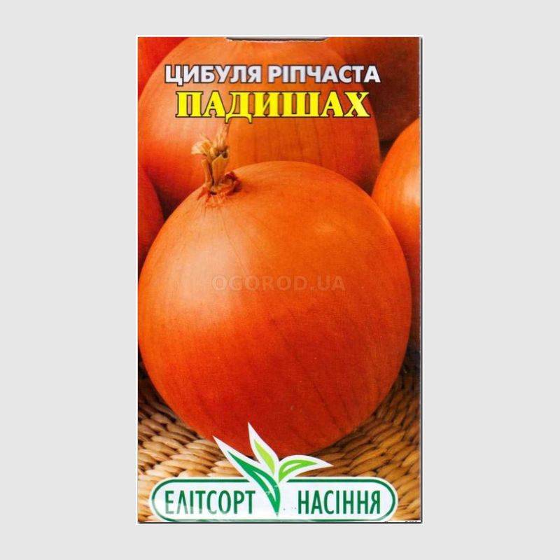 Лук репчатый падишах 0,2гр/10. Семена лук репчатый падишах 0,2 г цветной пакет (Гавриш). Лук падишах описание сорта фото отзывы.