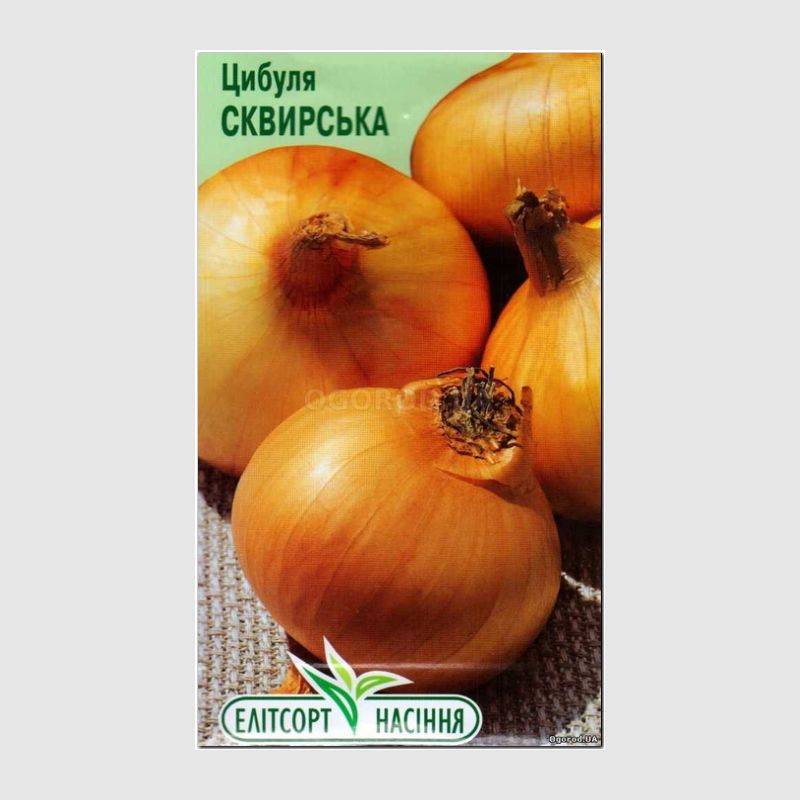Кликните для увеличения изображения Семена лука «Сквирский» (репчатый), ТМ «Елітсортнасіння» - 2 грамма
