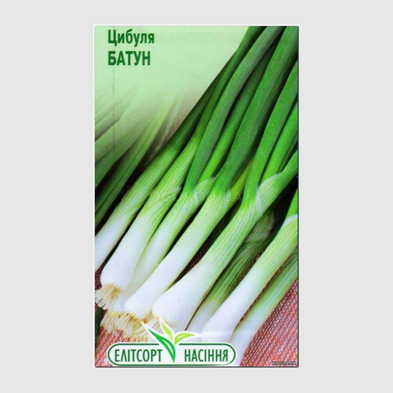 Кликните для увеличения изображения Семена лука «Батун» (на перо), ТМ «Елітсортнасіння» - 1 грамм