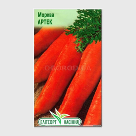 Семена моркови «Артек», ТМ «Елітсортнасіння» - 2 грамма