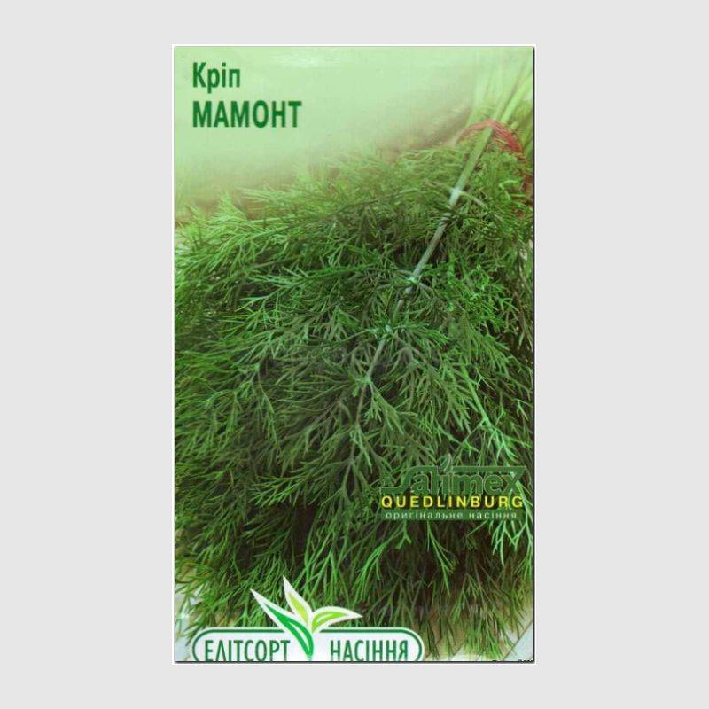 Кликните для увеличения изображения Семена укропа «Мамонт», ТМ «Елітcортнасіння» - 3 грамма