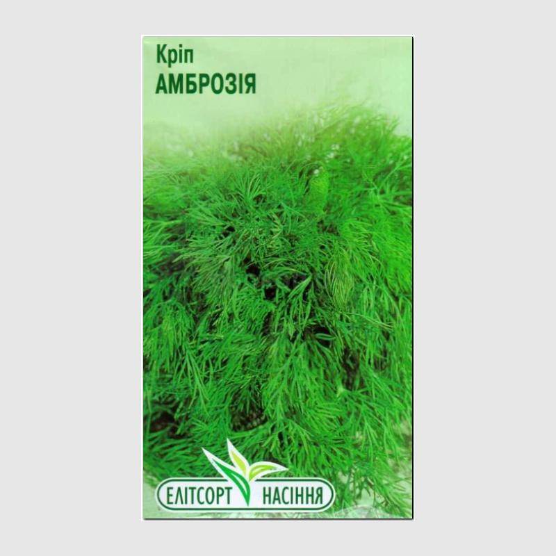 Кликните для увеличения изображения Семена укропа «Амброзия», ТМ «Елітcортнасіння» - 3 грамма