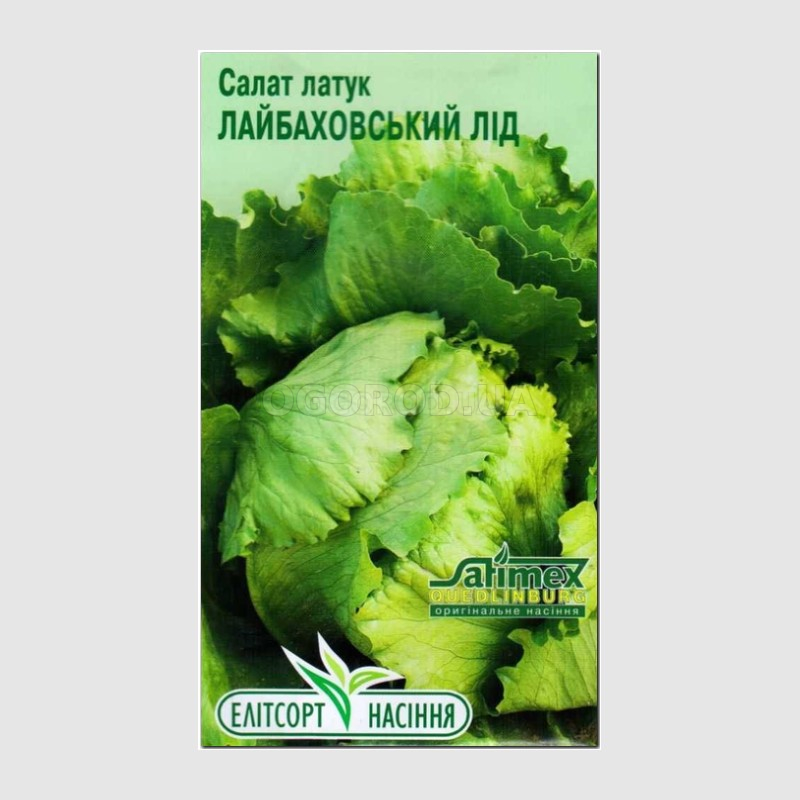 Кликните для увеличения изображения Семена салата «Лайбаховский лед» (латук), ТМ «Елітсортнасіння» - 1 грамм
