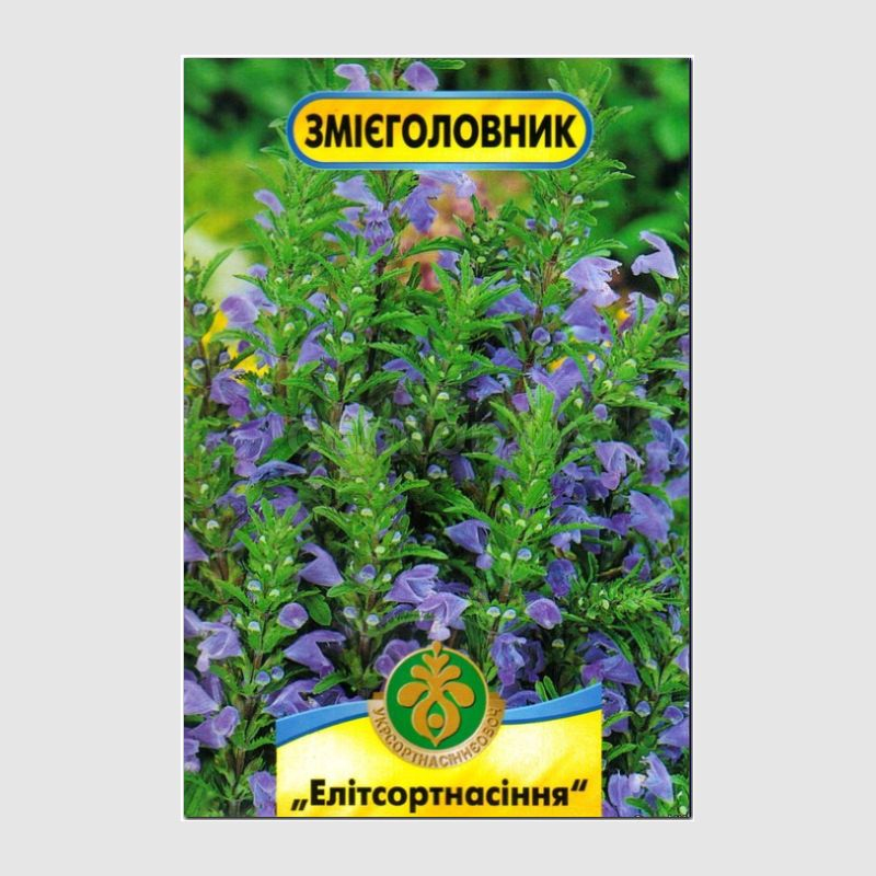 Кликните для увеличения изображения Семена змееголовника, ТМ «Елітсортнасіння» - 0,25 грамм