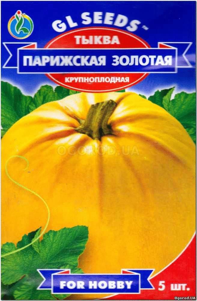 Кликните для увеличения изображения Семена тыквы «Парижская золотая», ТМ GL Seeds - 5 семян