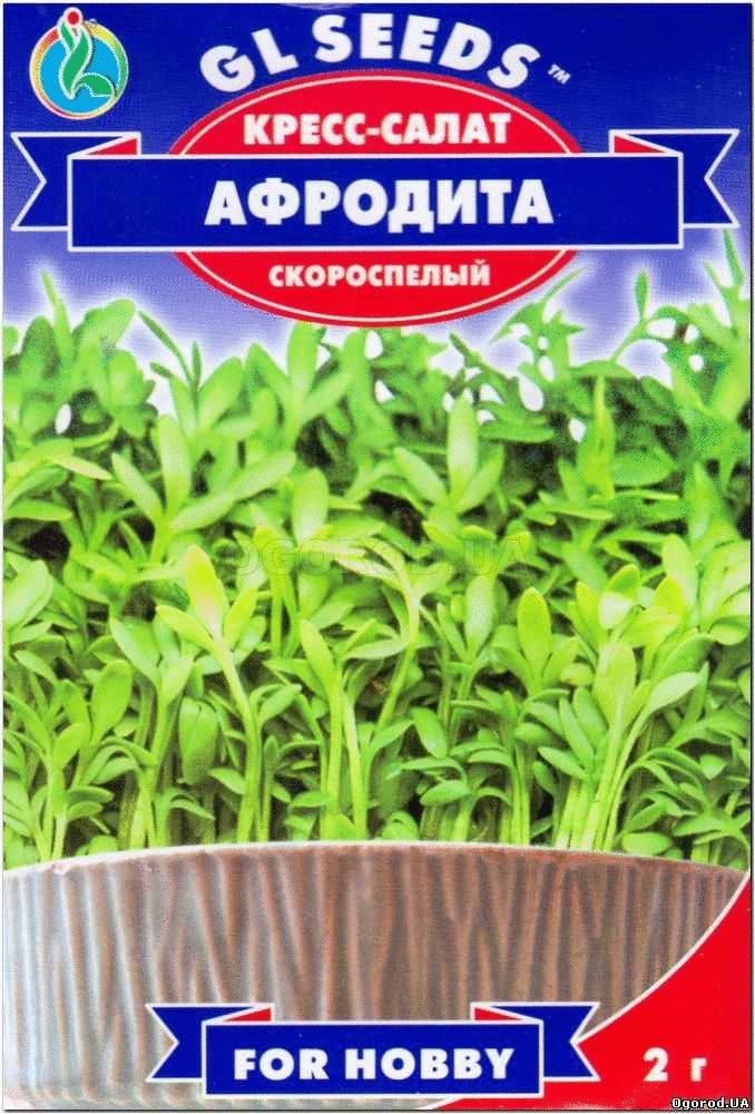 Кликните для увеличения изображения Семена салата «Афродита» (кресс), ТМ GL Seeds - 2 грамма
