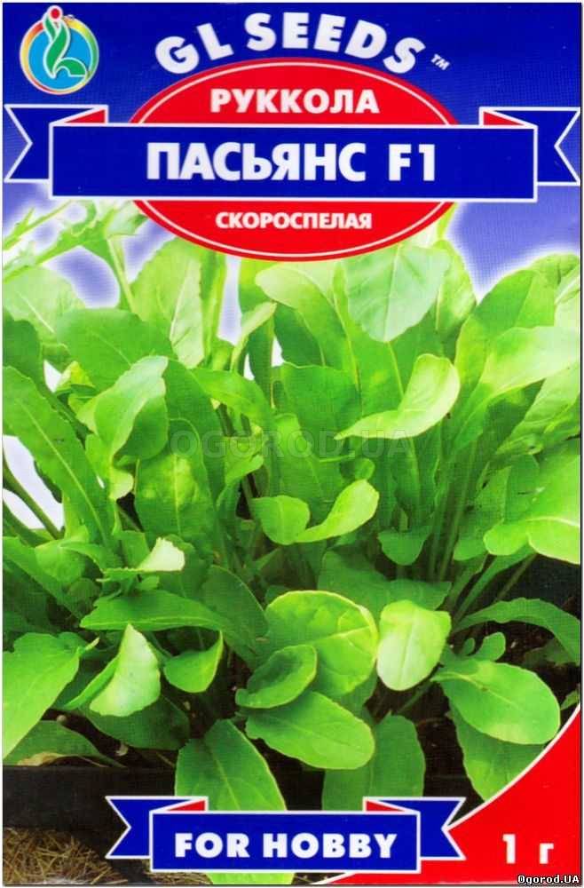 Кликните для увеличения изображения Семена рукколы «Пасьянс» F1, ТМ GL Seeds - 1 грамм