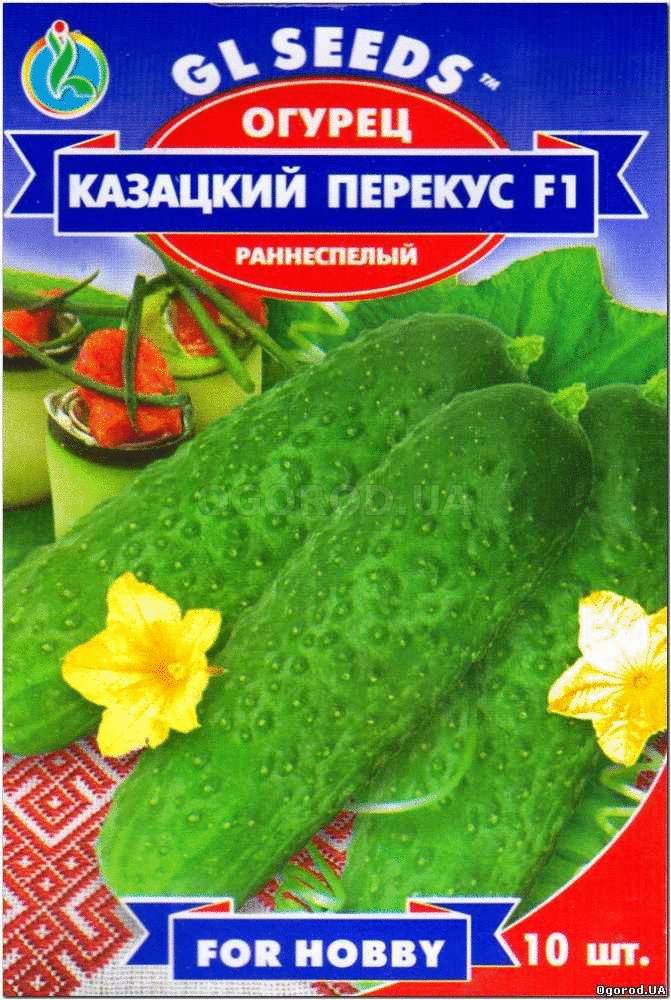 Кликните для увеличения изображения Семена огурца «Казацкий перекус», ТМ GL Seeds - 10 семян