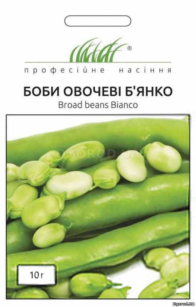 Купить Семена Бобов Овощных