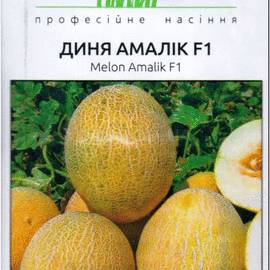 Семена дыни «Амалик» F1, ТМ United Genetics - 8 семян